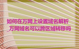 如何在万网上设置域名解析_万网域名可以跨区域转移吗