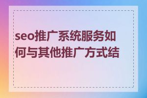 seo推广系统服务如何与其他推广方式结合