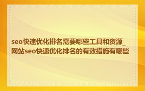 seo快速优化排名需要哪些工具和资源_网站seo快速优化排名的有效措施有哪些