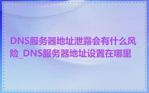 DNS服务器地址泄露会有什么风险_DNS服务器地址设置在哪里