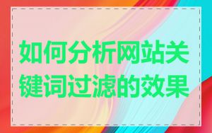 如何分析网站关键词过滤的效果