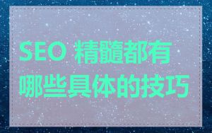 SEO 精髓都有哪些具体的技巧
