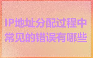 IP地址分配过程中常见的错误有哪些
