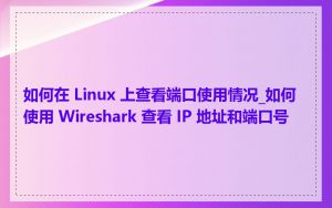 如何在 Linux 上查看端口使用情况_如何使用 Wireshark 查看 IP 地址和端口号