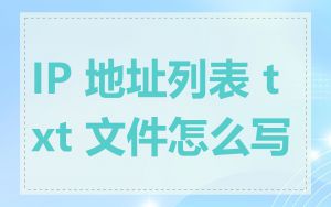 IP 地址列表 txt 文件怎么写