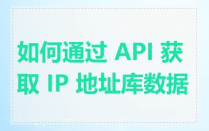 如何通过 API 获取 IP 地址库数据