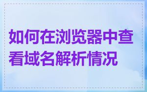 如何在浏览器中查看域名解析情况