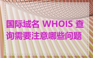 国际域名 WHOIS 查询需要注意哪些问题
