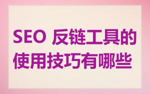SEO 反链工具的使用技巧有哪些