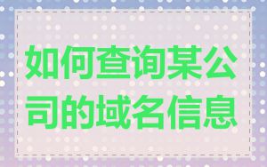 如何查询某公司的域名信息