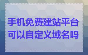 手机免费建站平台可以自定义域名吗