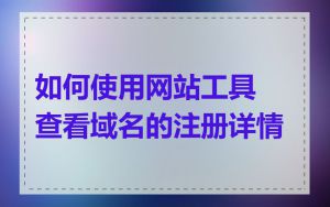 如何使用网站工具查看域名的注册详情