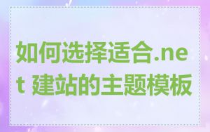 如何选择适合.net 建站的主题模板