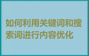 如何利用关键词和搜索词进行内容优化