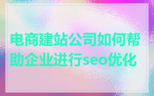 电商建站公司如何帮助企业进行seo优化