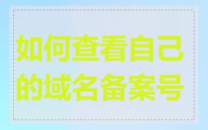 如何查看自己的域名备案号