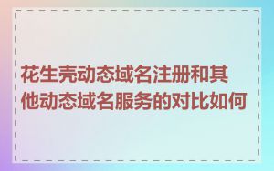 花生壳动态域名注册和其他动态域名服务的对比如何