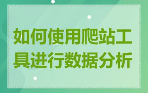 如何使用爬站工具进行数据分析