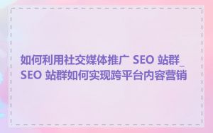 如何利用社交媒体推广 SEO 站群_SEO 站群如何实现跨平台内容营销