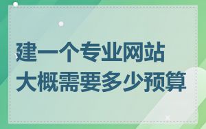 建一个专业网站大概需要多少预算