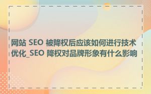 网站 SEO 被降权后应该如何进行技术优化_SEO 降权对品牌形象有什么影响