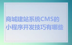 商城建站系统CMS的小程序开发技巧有哪些