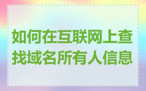 如何在互联网上查找域名所有人信息