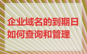 企业域名的到期日如何查询和管理