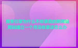 搜索引擎为什么不收录我的新网站_网站建立一个月没收录该怎么办