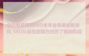 业内专家预测SEO未来会有哪些新变化_SEO从诞生到现在经历了哪些阶段