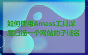 如何使用Amass工具深度扫描一个网站的子域名