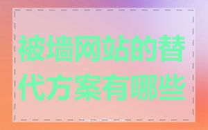 被墙网站的替代方案有哪些
