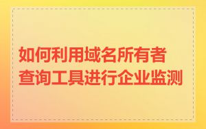 如何利用域名所有者查询工具进行企业监测