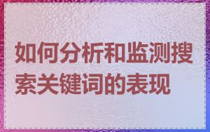 如何分析和监测搜索关键词的表现