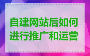 自建网站后如何进行推广和运营