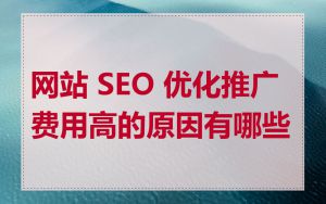 网站 SEO 优化推广费用高的原因有哪些