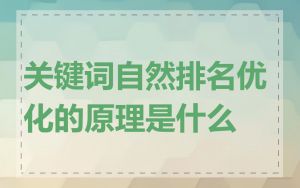 关键词自然排名优化的原理是什么