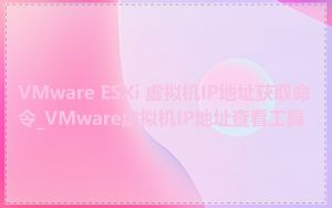 VMware ESXi 虚拟机IP地址获取命令_VMware虚拟机IP地址查看工具