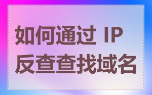 如何通过 IP 反查查找域名