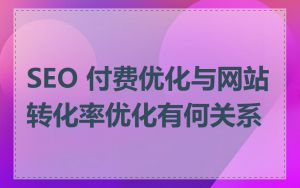 SEO 付费优化与网站转化率优化有何关系