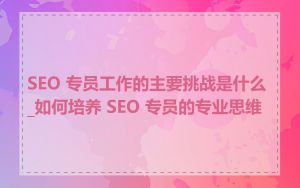 SEO 专员工作的主要挑战是什么_如何培养 SEO 专员的专业思维