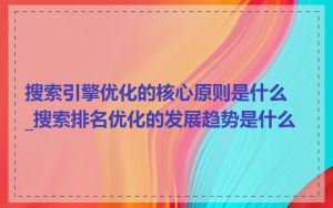 搜索引擎优化的核心原则是什么_搜索排名优化的发展趋势是什么
