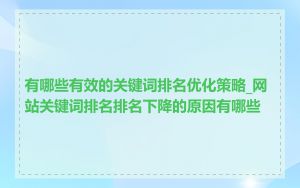 有哪些有效的关键词排名优化策略_网站关键词排名排名下降的原因有哪些