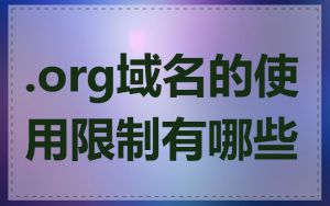 .org域名的使用限制有哪些