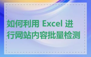 如何利用 Excel 进行网站内容批量检测