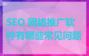 SEO 网络推广软件有哪些常见问题