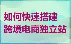 如何快速搭建跨境电商独立站