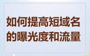 如何提高短域名的曝光度和流量