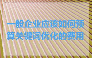 一般企业应该如何预算关键词优化的费用