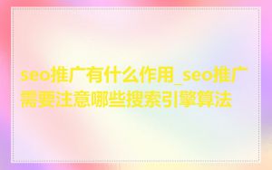 seo推广有什么作用_seo推广需要注意哪些搜索引擎算法